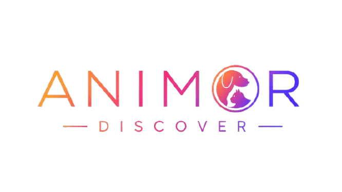 Animor Discover